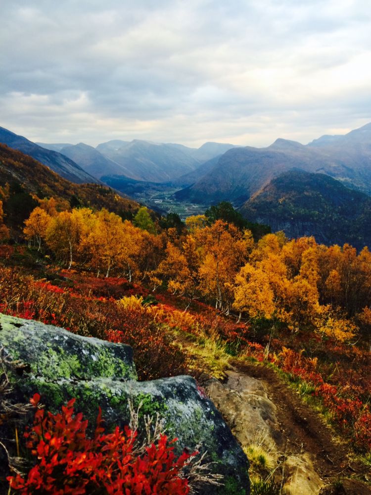 Haustfargar, utsikt mot fjell og dal, overskya ver.