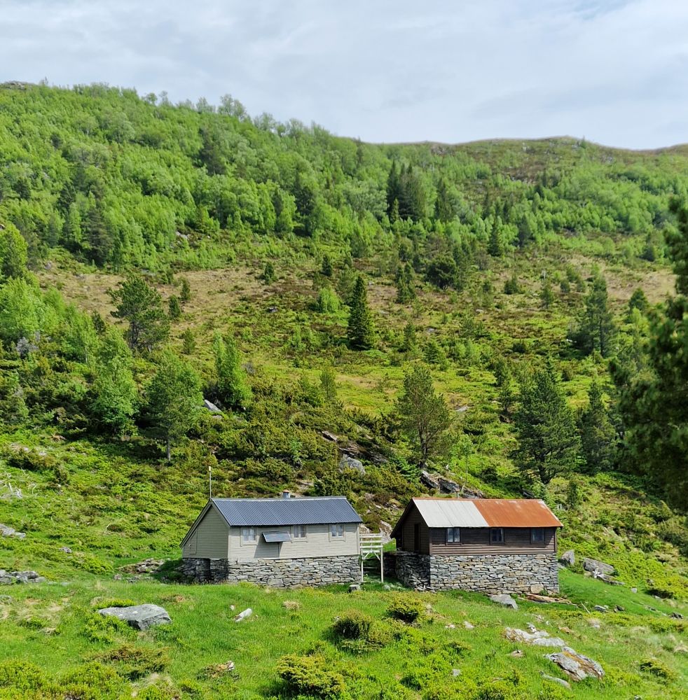 Dei to sela på Homborsetsætra