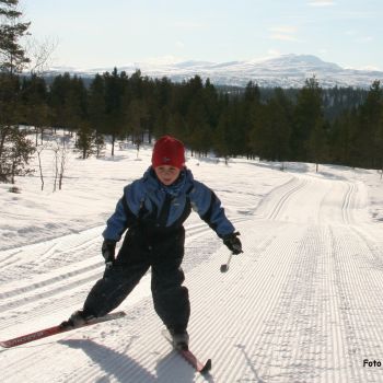 Skiløype Furuhaugmarka