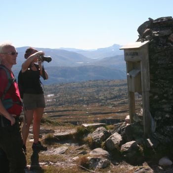 Skåkleiva (786 moh) - fra Tørsåsen