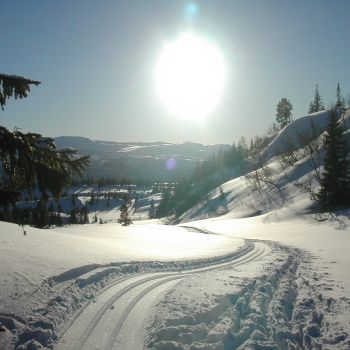 Skiløype Sentrum - Åsan 